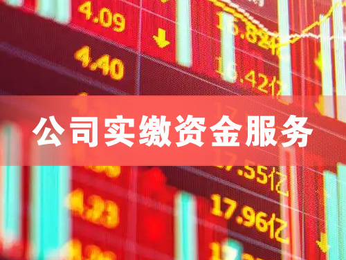 嘉兴公司实缴资金服务