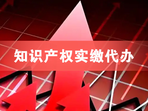 嘉兴知识产权实缴资本代办